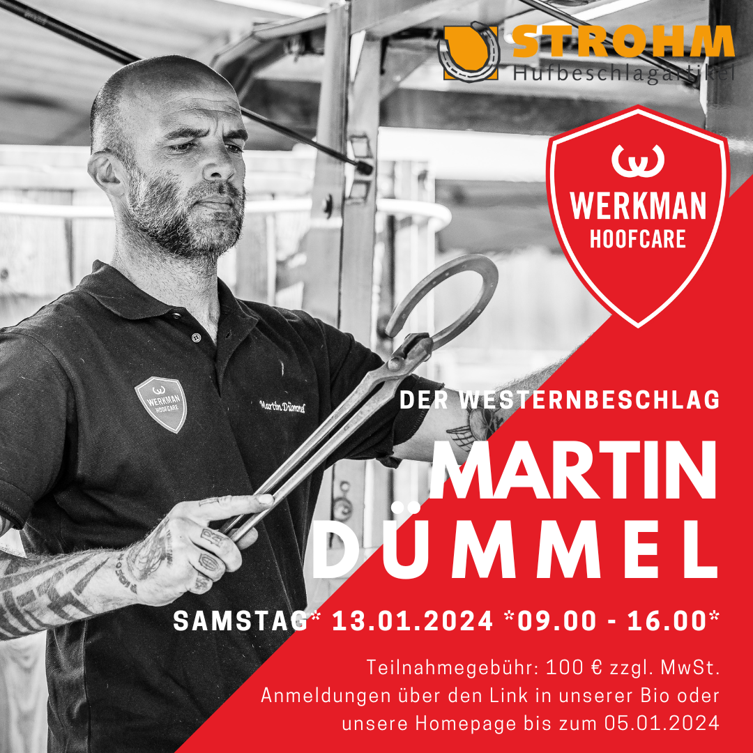 Anmeldung Martin Dümmel 