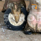 Triple R Sportbeschlag
