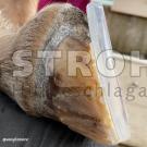 CARRÉstep 3D