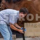 Paniolo Hoof Support Pads