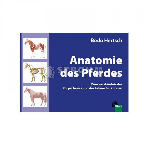 Anatomie des Pferdes - Prof. Dr. Bodo Hertsch
